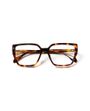 VISIONARIO BURKE C02 56-16